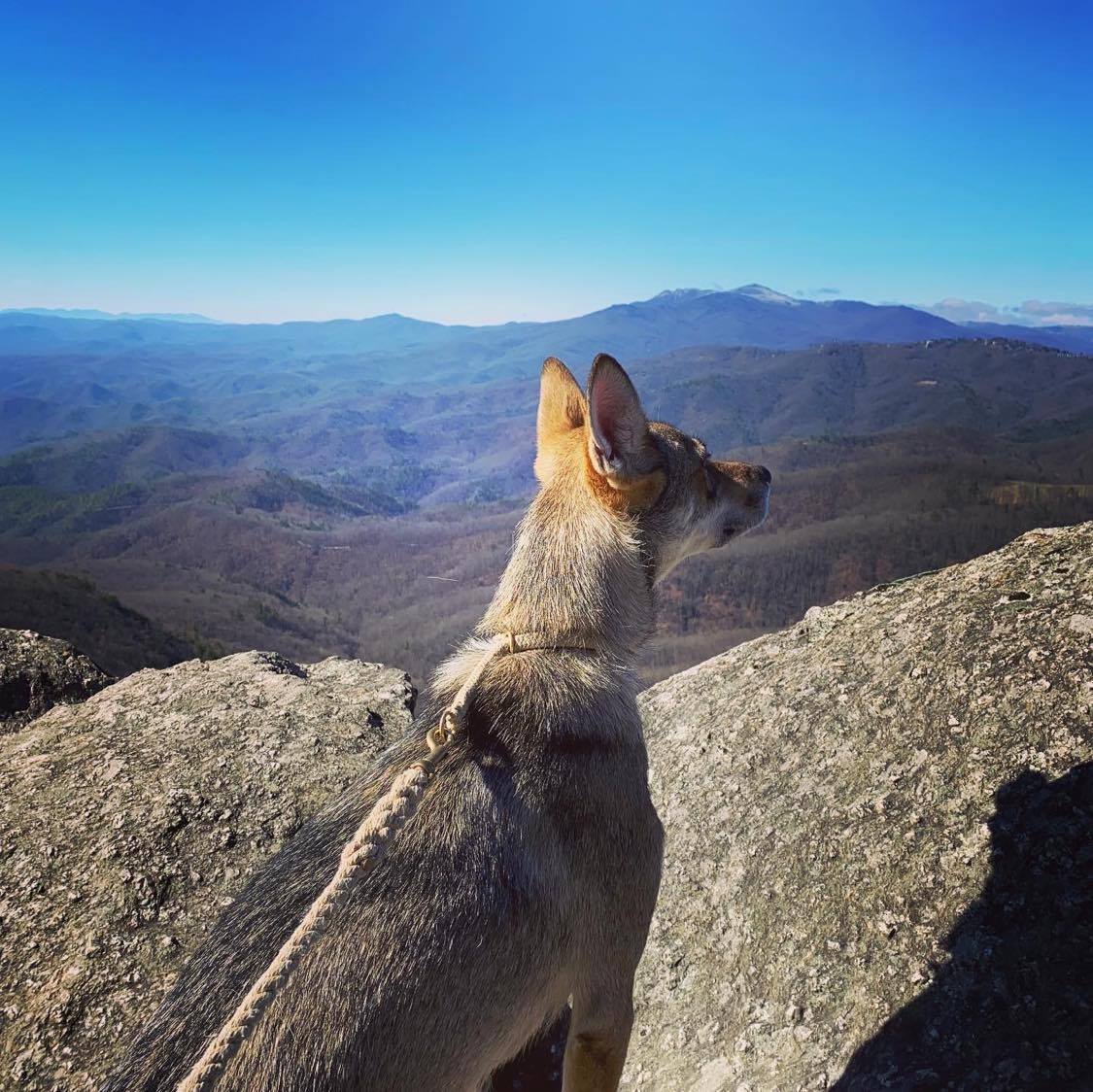 Blowing Rock, Clara