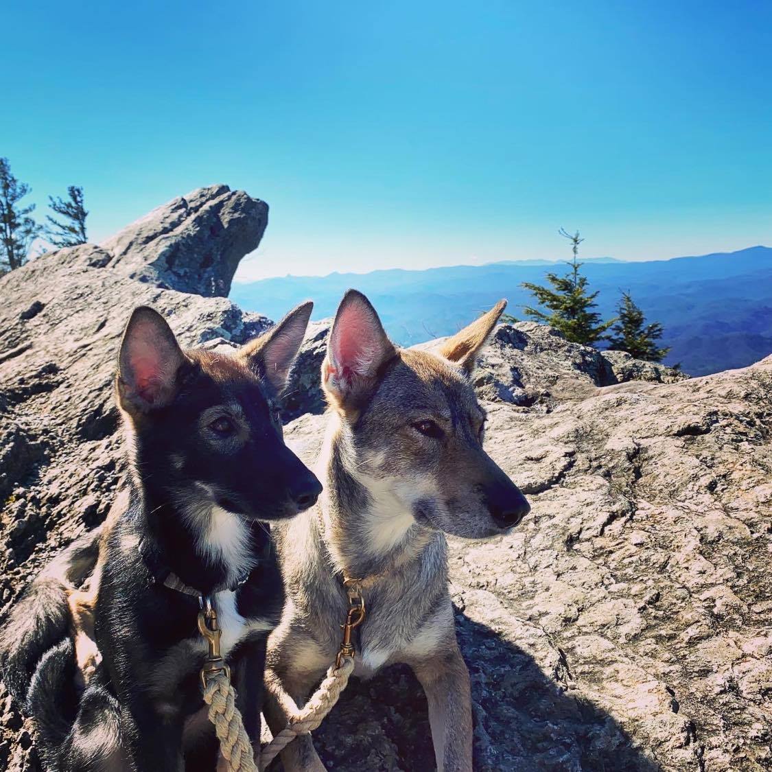Blowing Rock, Sassenach & Clara
