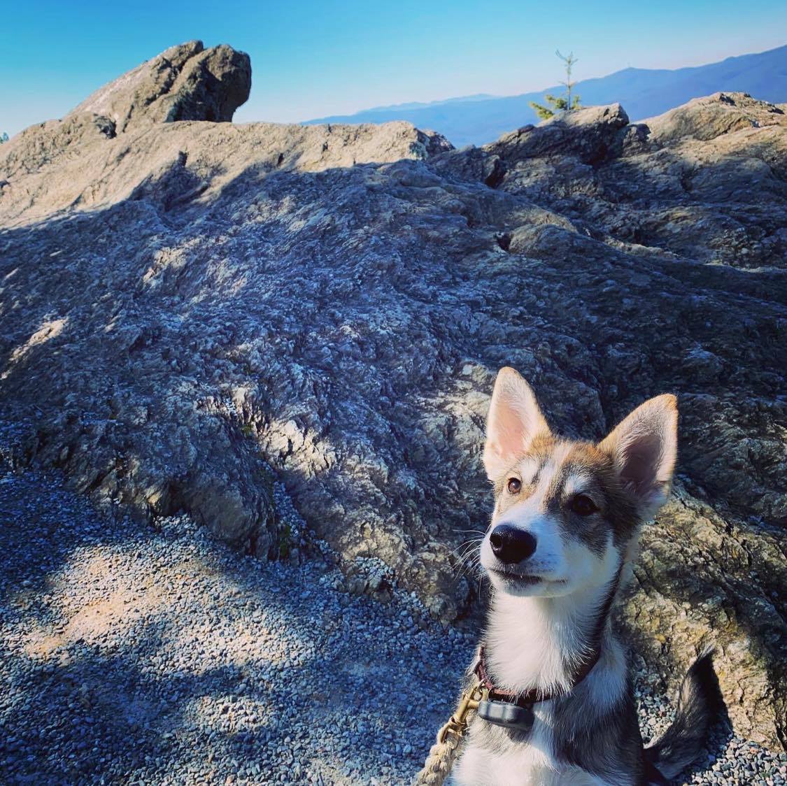 Blowing Rock, Loki