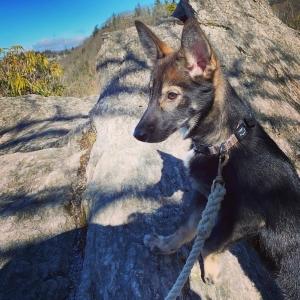 Blowing Rock, Sassenach