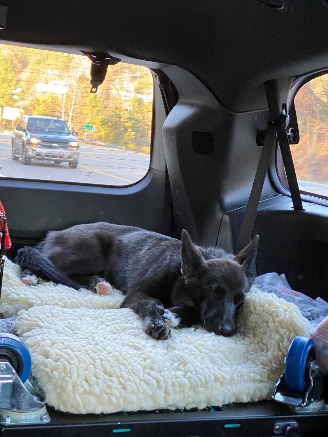 Road Warrior, Cere