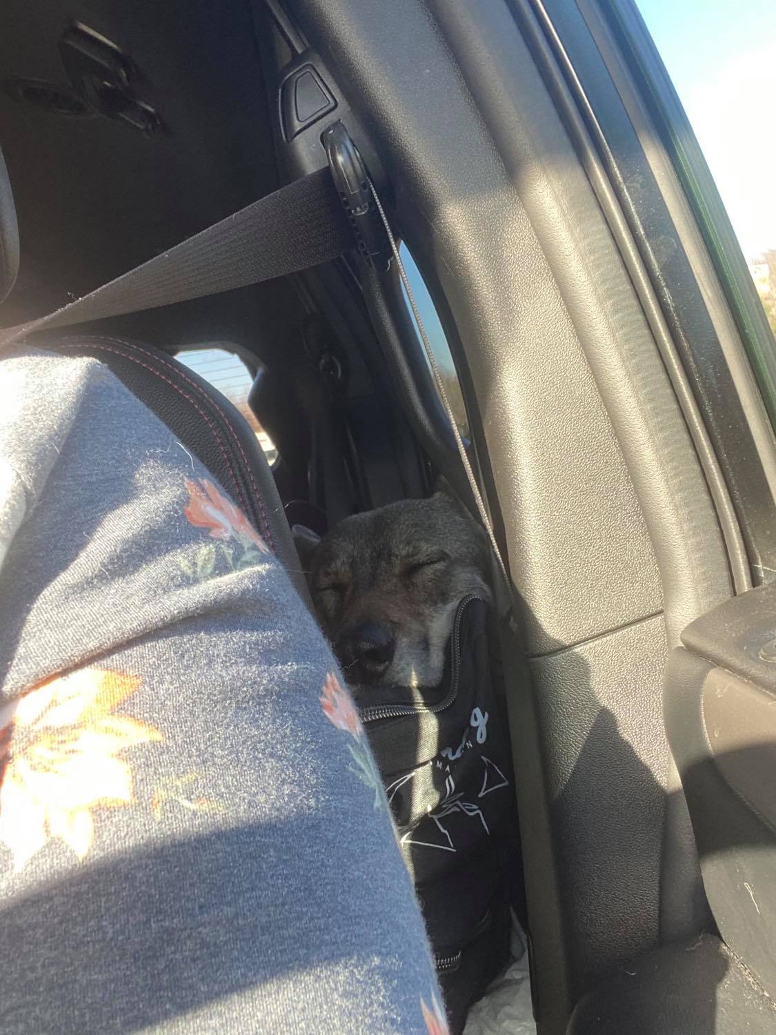 Road Warrior, Clara