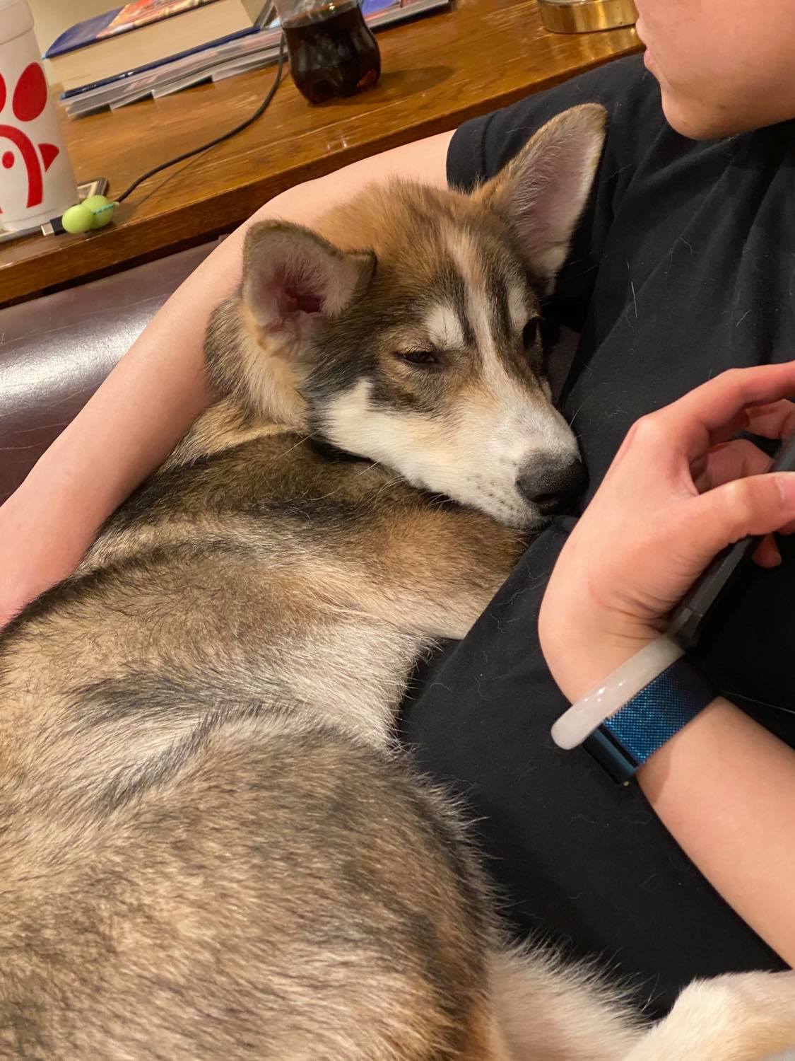 Hanging Out, Loki