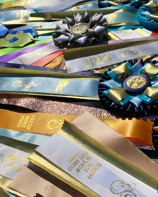 08 Sports & Titles
